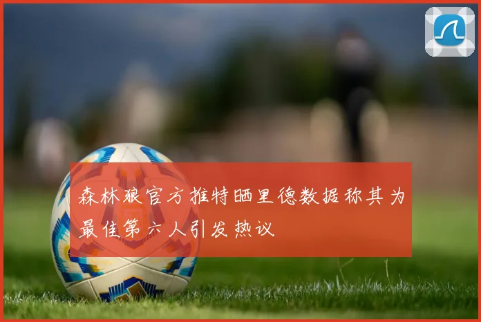 森林狼官方推特晒里德数据称其为最佳第六人引发热议