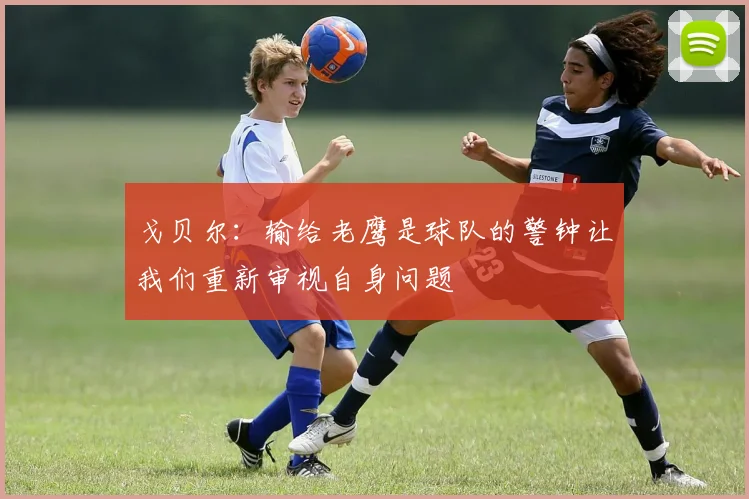 戈贝尔：输给老鹰是球队的警钟让我们重新审视自身问题